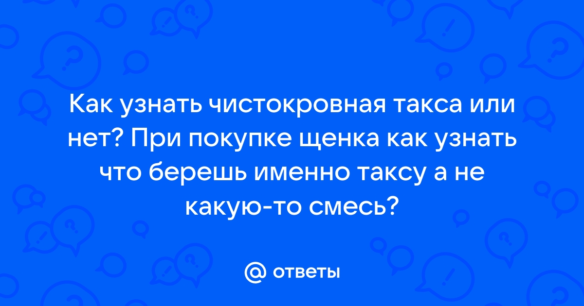 Ответы Mail.ru: Как узнать чистокровная такса или нет? При покупке щенка как  узнать что берешь именно таксу а не какую-то смесь?