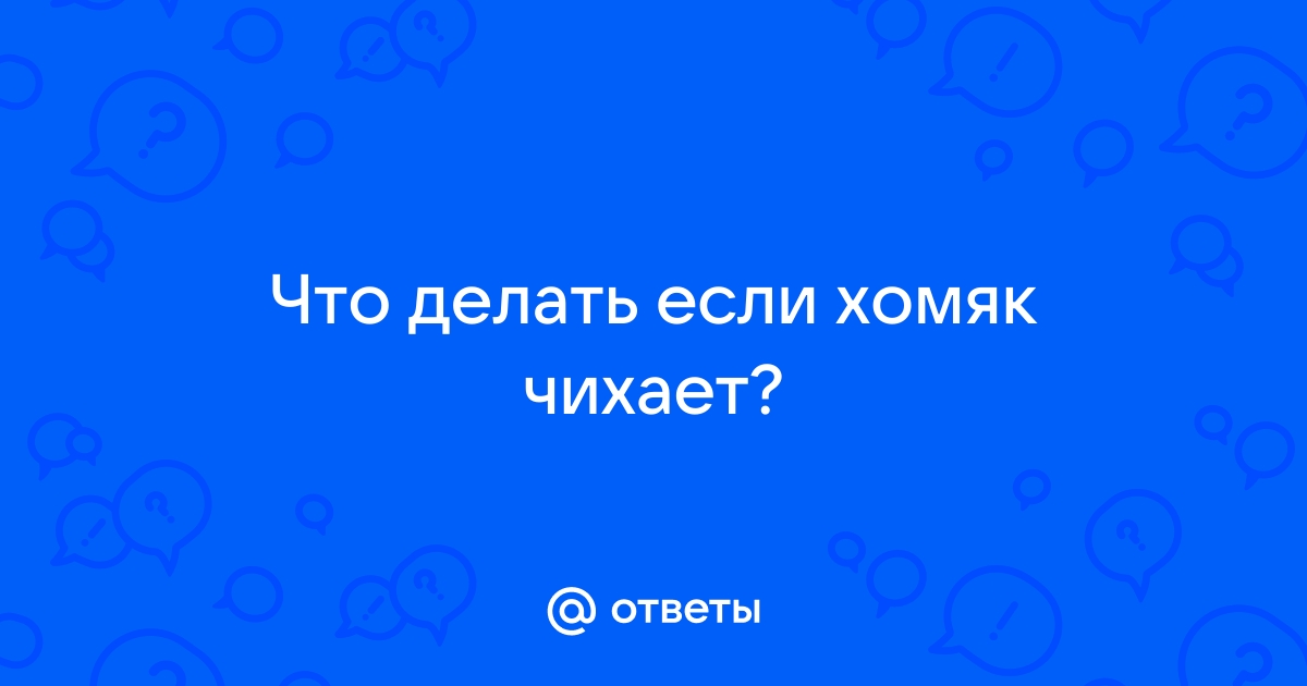 Джунгарский хомяк фыркает (возможно чихает). - 15 марта - Форум Зоовет