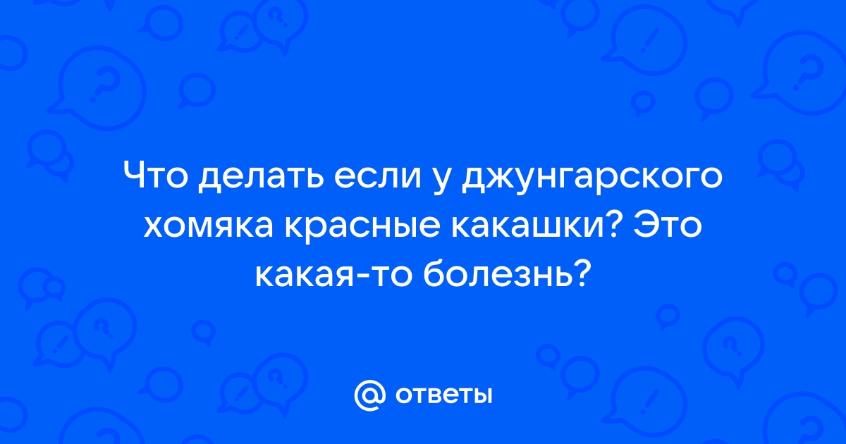 Почему хомячок плохо пахнет и как это можно исправить?,