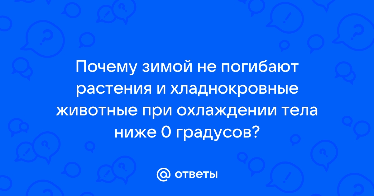 Умирают ли растения зимой? — Дивногорье — музей заповедник