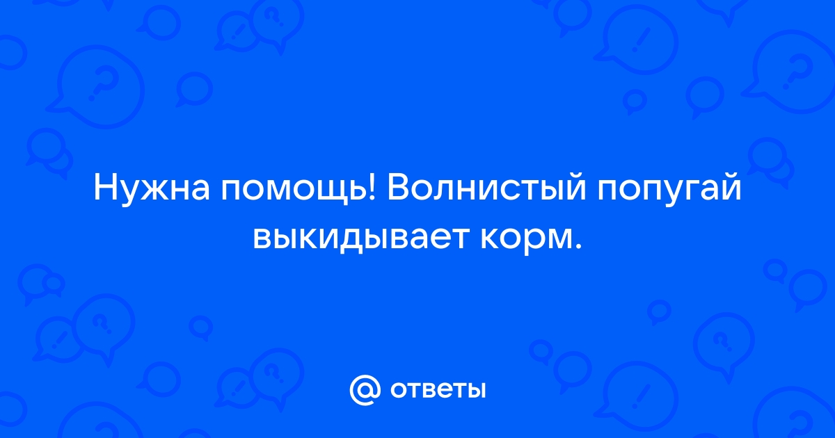 Попугай выкидывает весь корм из кормушки : Общие вопросы