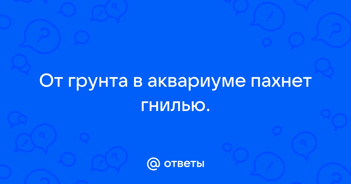 Запах тухлой воды в аквариуме