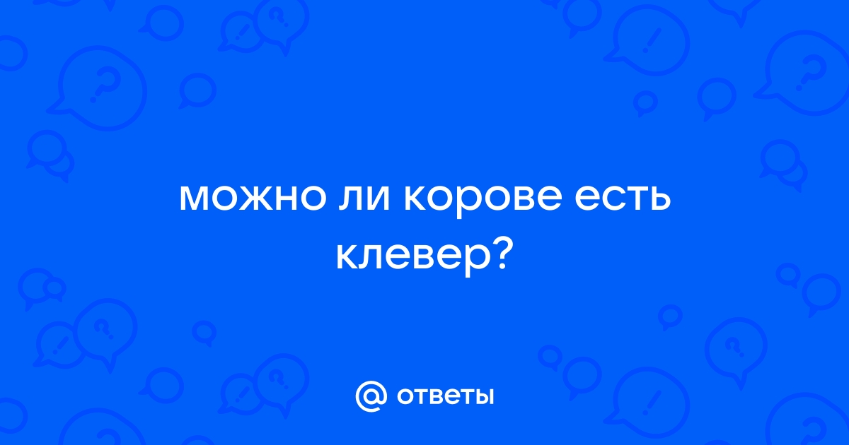 Клевер и люцерна как источник протеина для коров