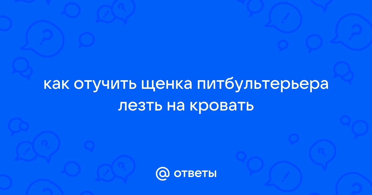 Отучить щенка прыгать на кровать