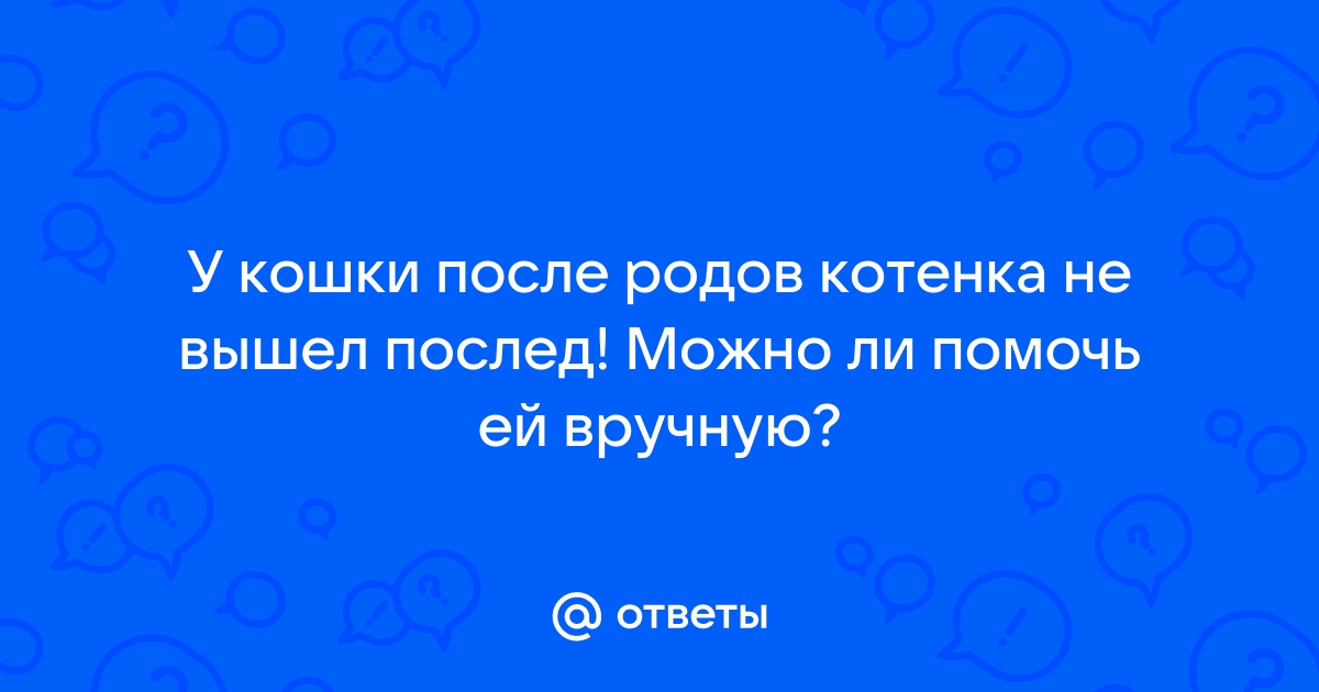 Задержание последа у животных — smetchikmos.ru