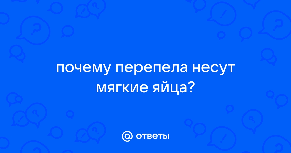 Почему у перепелов мягкие яйца: возможные причины