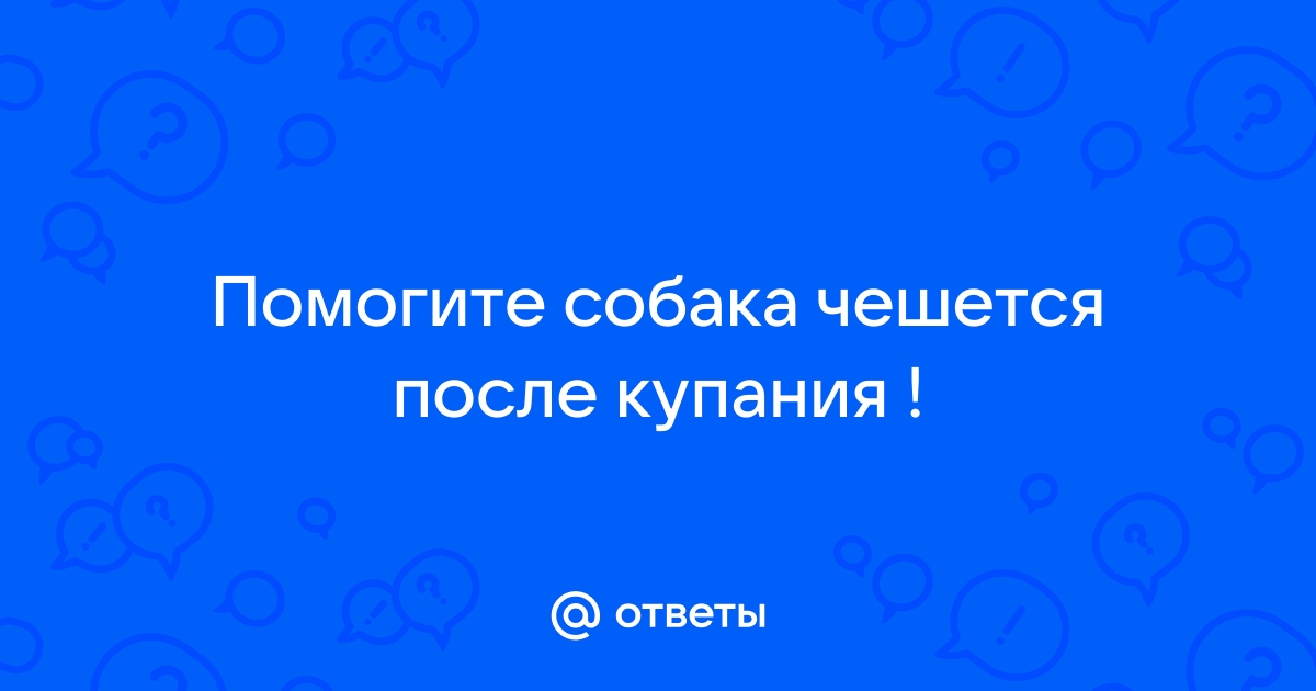 Чешется попа после стула