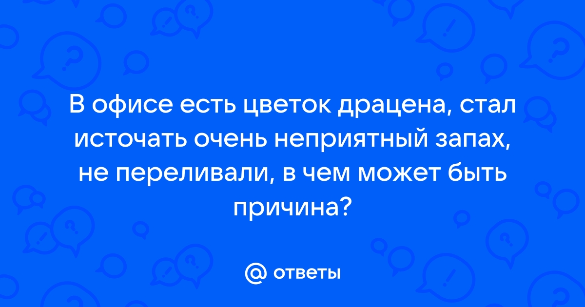 Не волнуйтесь в офисе есть два принтера дуолинго