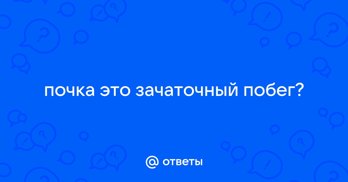 Почему семена называют зачаточными