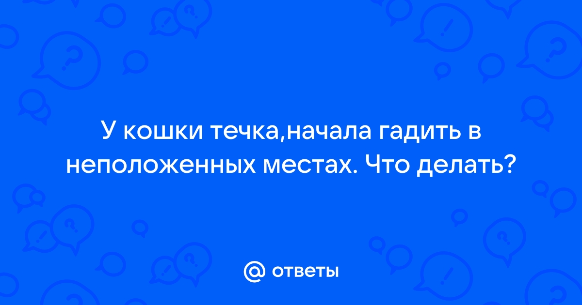 Почему стерилизованная кошка писает на кровать?