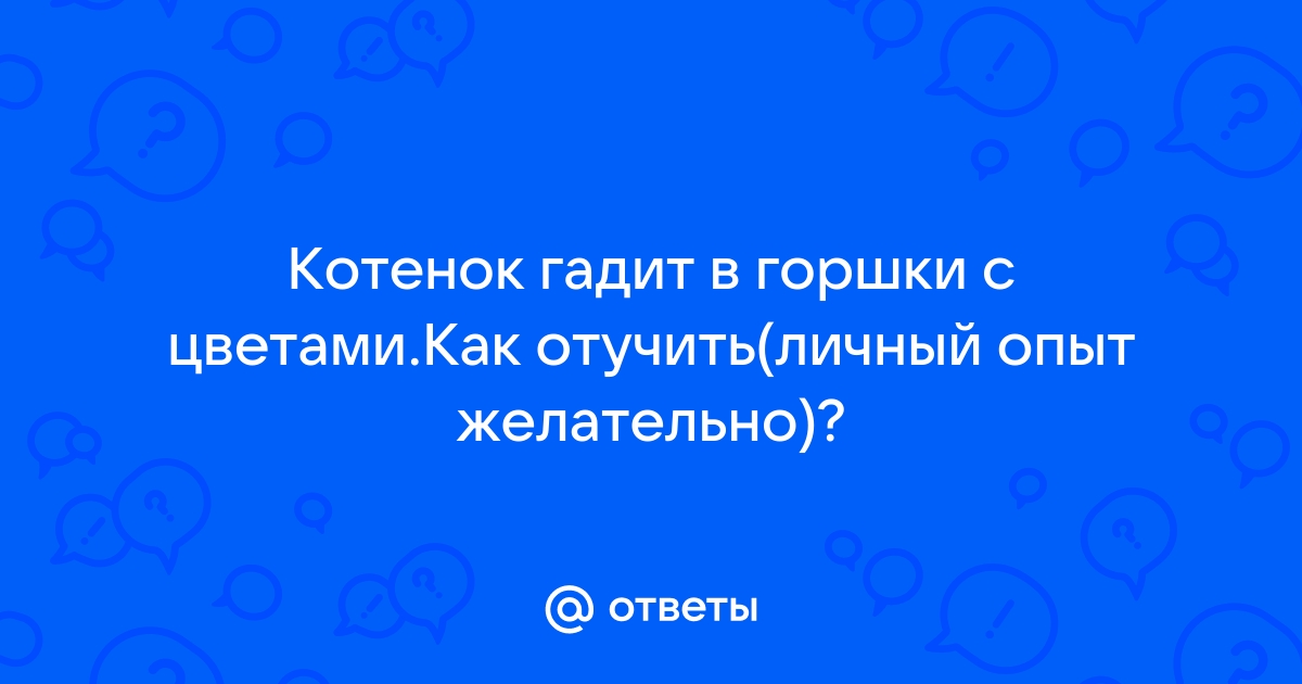 Как отучить кота гадить в неположенном месте: проверенные способы