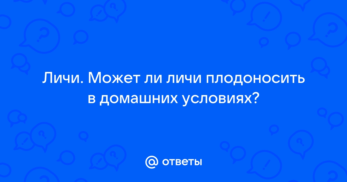 Саженцы Личи (драконий глаз или китайская слива) - купить в Украине