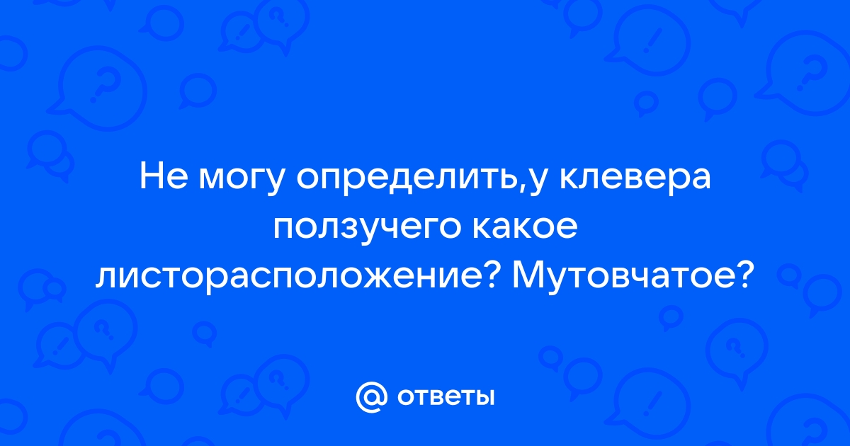 Если задают какое нибудь сочинение то могу просидеть до ночи найди слово которое соответствует схеме