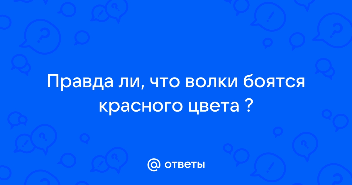 Владимирец поучаствовал в охоте на волков и рассказал о встречах со снежным человеком