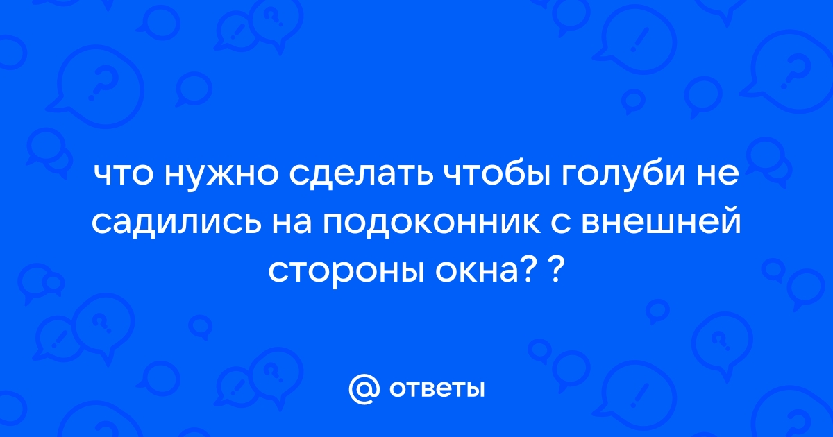 Что сделать чтобы голуби не садились на подоконник со стороны улицы