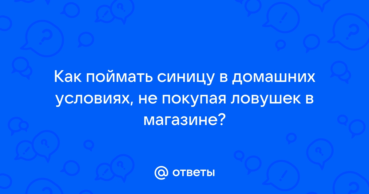 Ответы tarlsosch.ru: Как поймать синицу в домашних условиях, не покупая ловушек в магазине?