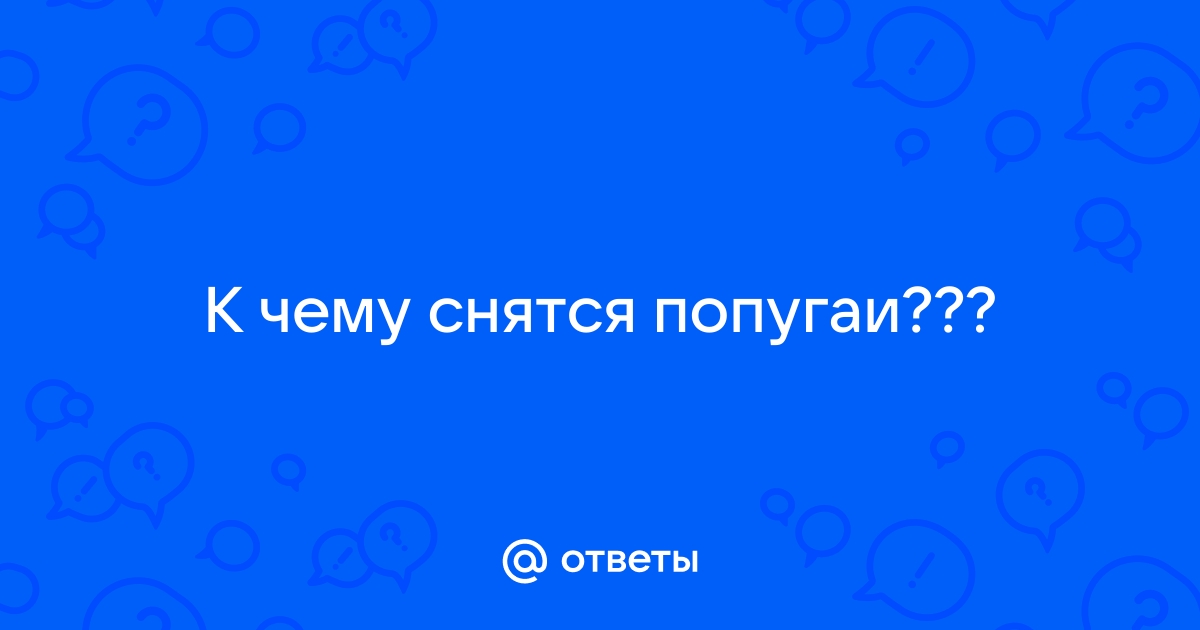 Сонник к чему снятся попугаи