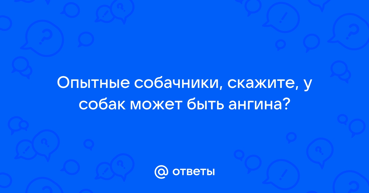 Ответы forpost-audit.ru: Опытные собачники, скажите, у собак может быть ангина?