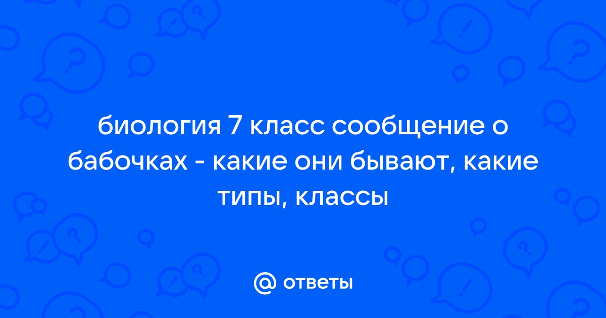 Здесь ты можешь записать план своего сообщения или важные сообщения о бабочках