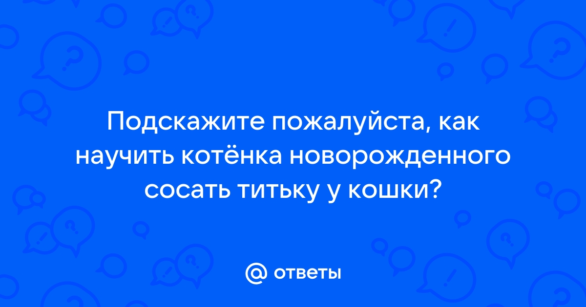 Привычка сосать. - Форум о тайских кошках и не только | ТАЙСКИЕ КОШКИ И КОТЯТА. Клуб Тайских Кошек