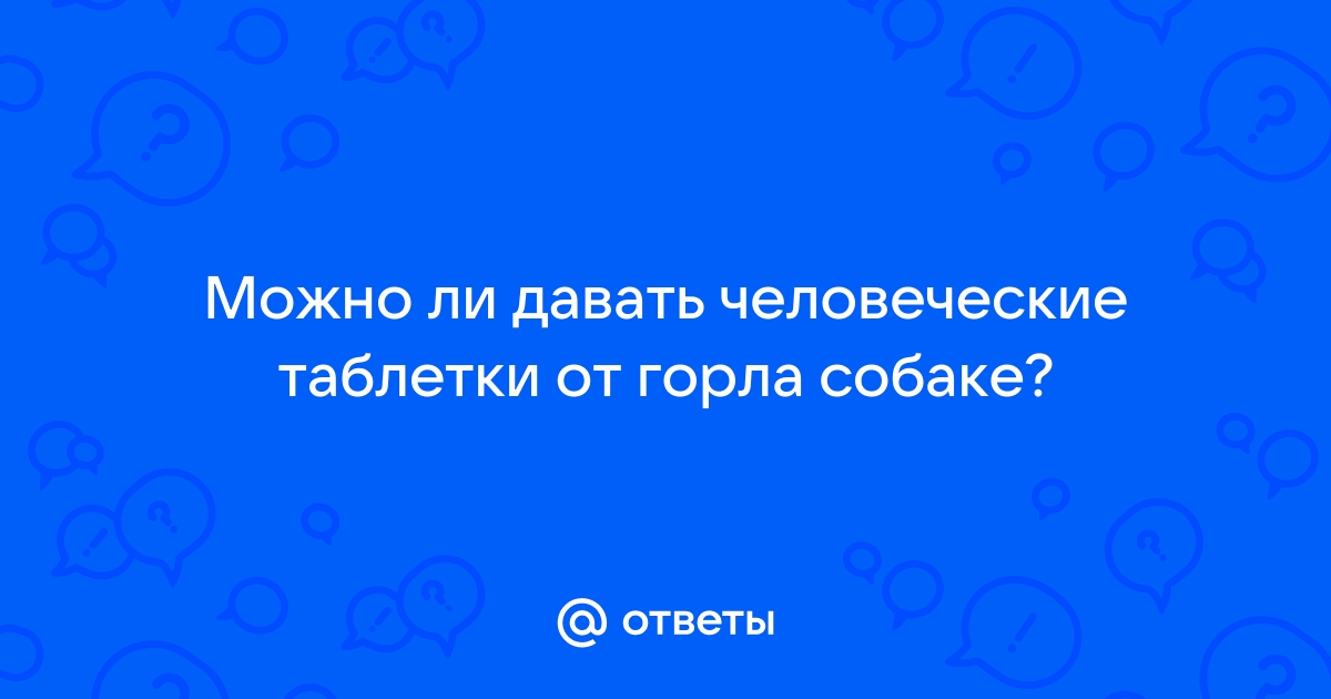 Можно ли собакам давать человеческие таблетки