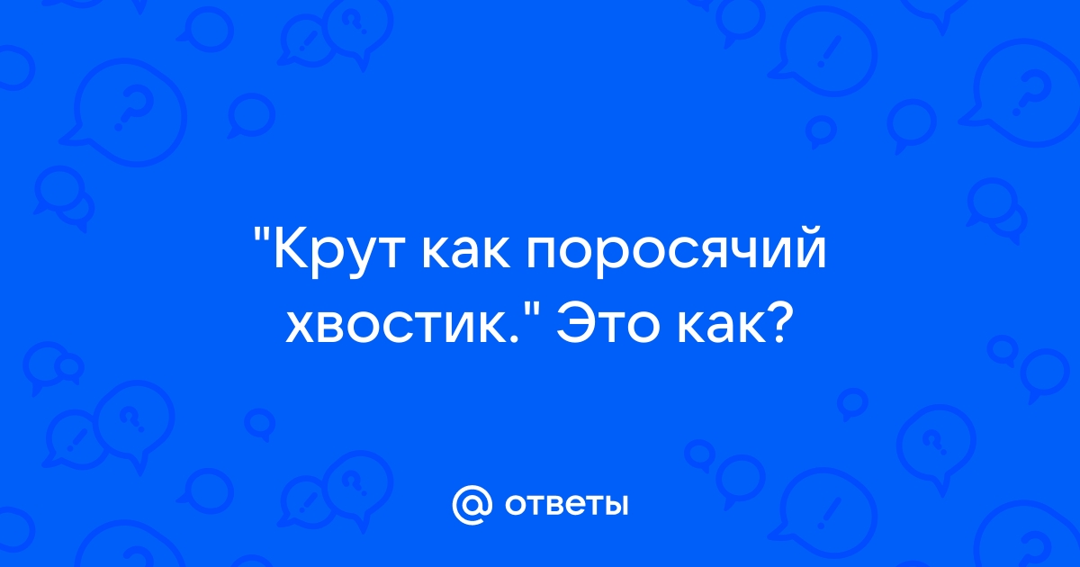 Семнадцать золотых рыбок и поросячий хвостик