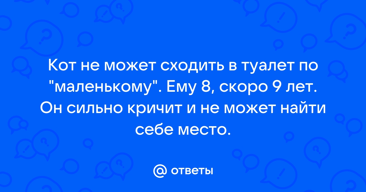 Не добежала до туалета по маленькому девушка