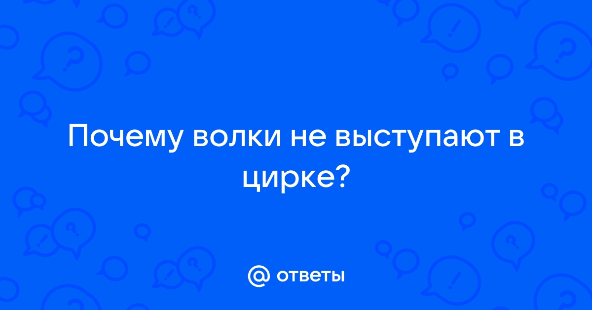 Я регулярно захожу в местный цирк, и каждый Впрочем, я уже согласен на номер с тигром.