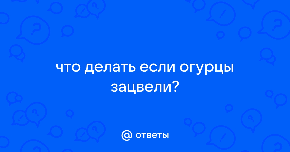 ​Почему желтеют завязи огурцов?