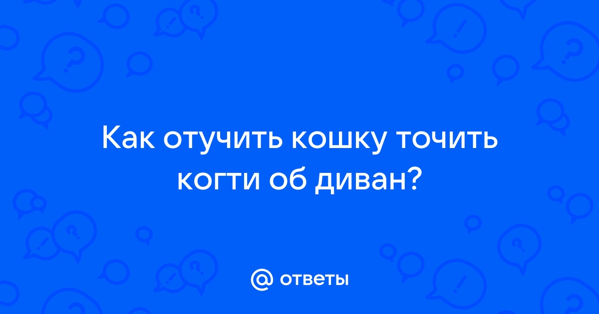 Точит когти об диван