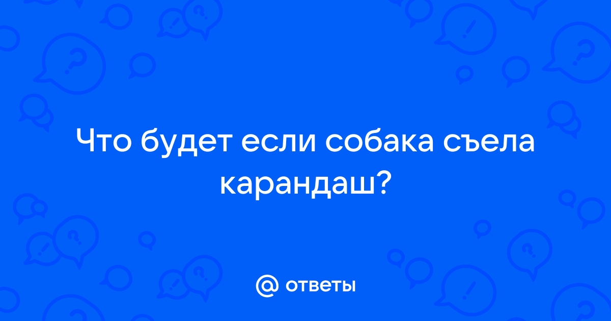 Что делать, если собака съела резиновую игрушку, пакет, тряпку, инородное тело