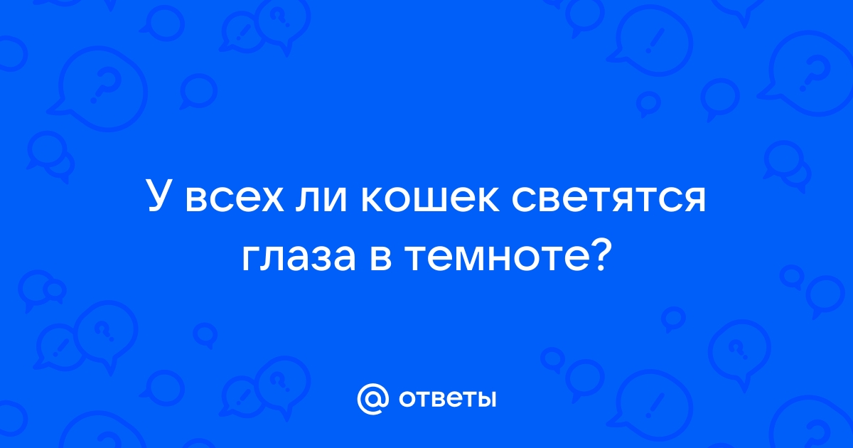 Почему у кошки светятся глаза в темноте