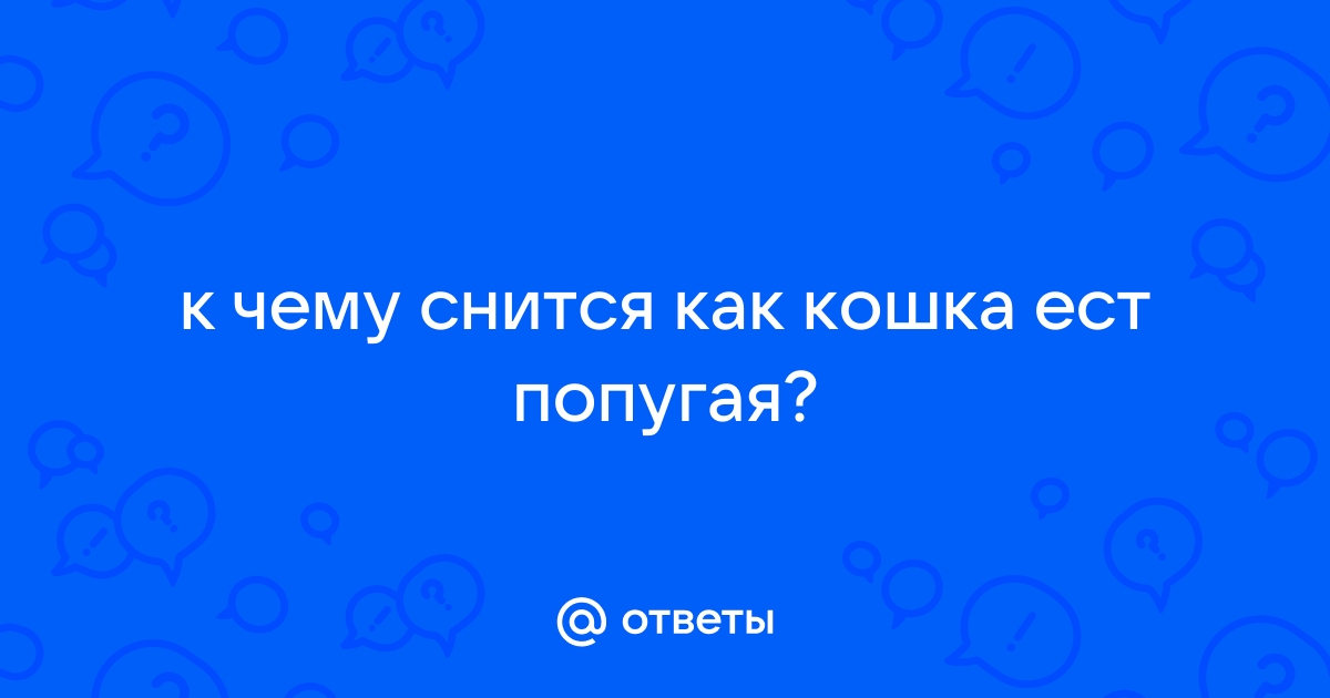 Кошка съела котёнка: к чему снится и что означает сон?