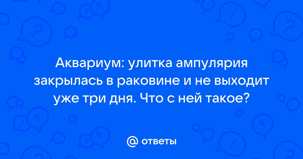 Почему ампулярии зеленеет раковина