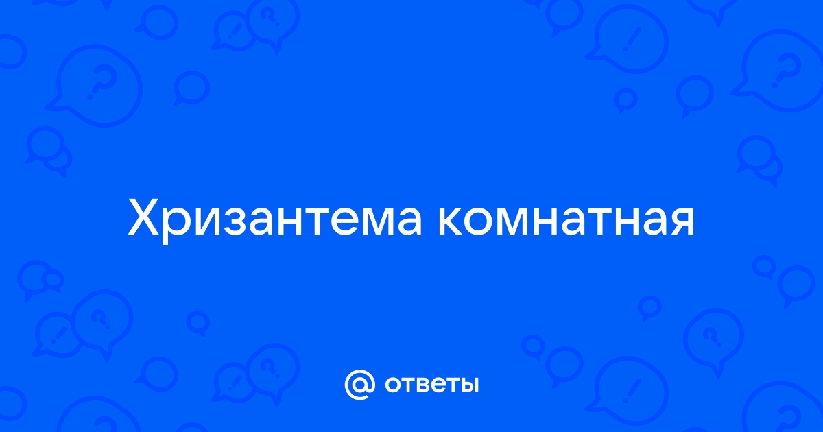 Уход за живыми цветами: как сохранить ваш букет зимой?